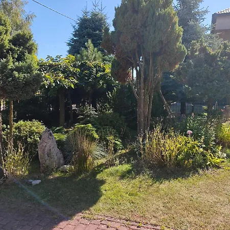 Agrostrzecha Z Ogrodem, Na Jurze Blisko Ogrodzienca