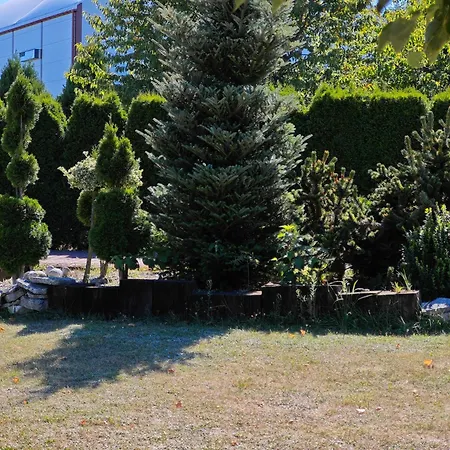 Agrostrzecha Z Ogrodem, Na Jurze Blisko Ogrodzienca