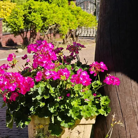 Agrostrzecha Z Ogrodem, Na Jurze Blisko Ogrodzienca * Ryczow